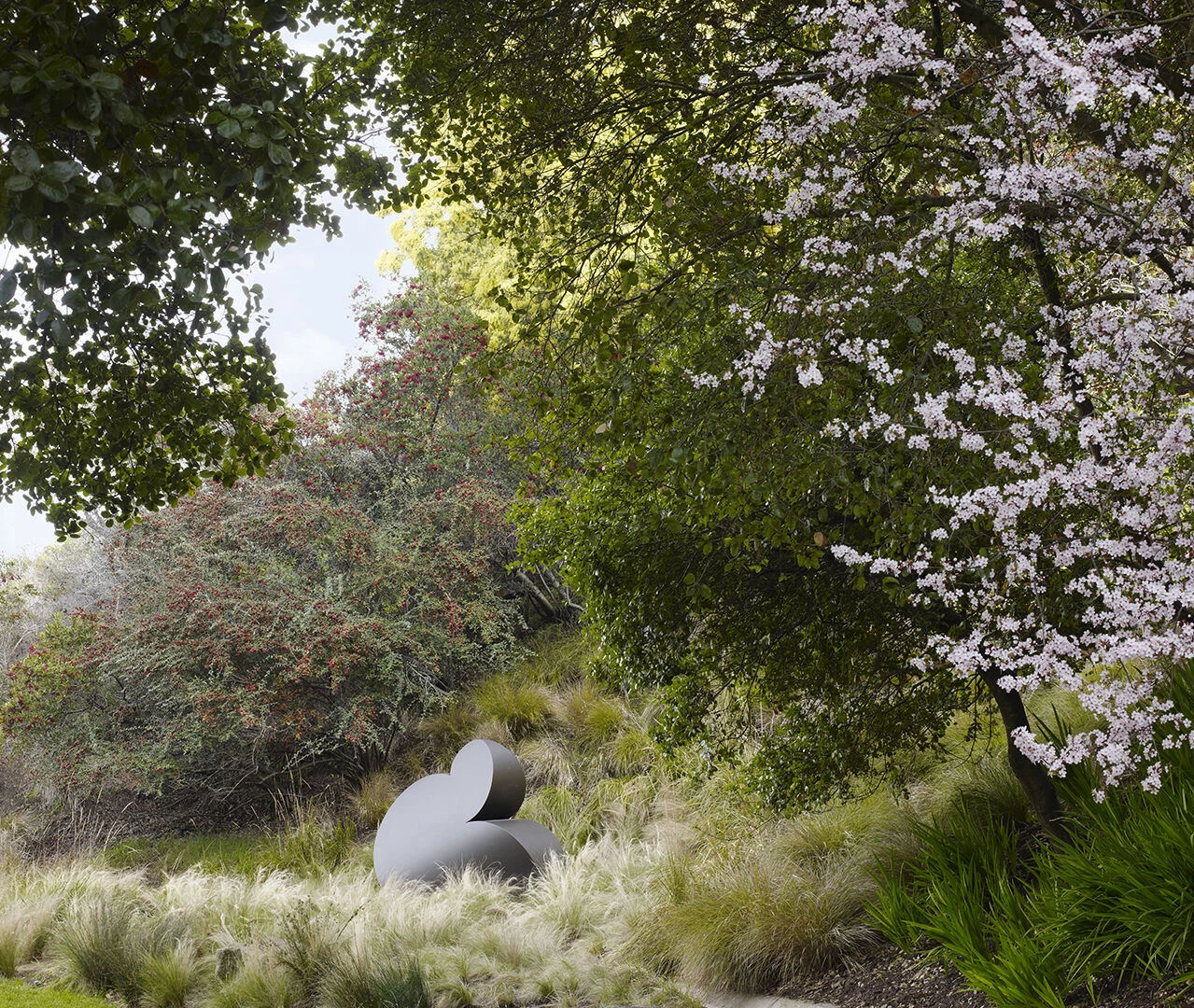 Hacienda Tiburon Landscape-12