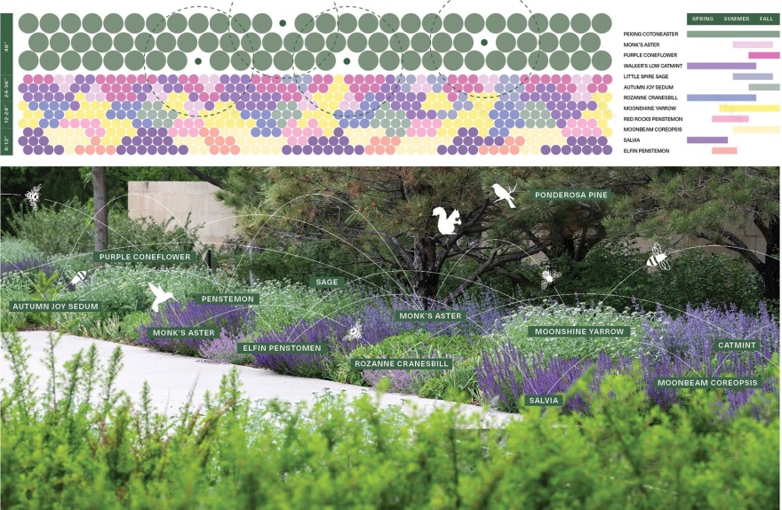 在“里高城”内培育自然丨美国丹佛丨Design Workshop,Inc. & Aspen-31