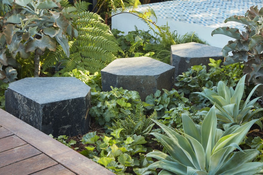 门前野趣丨TERREMOTO-104