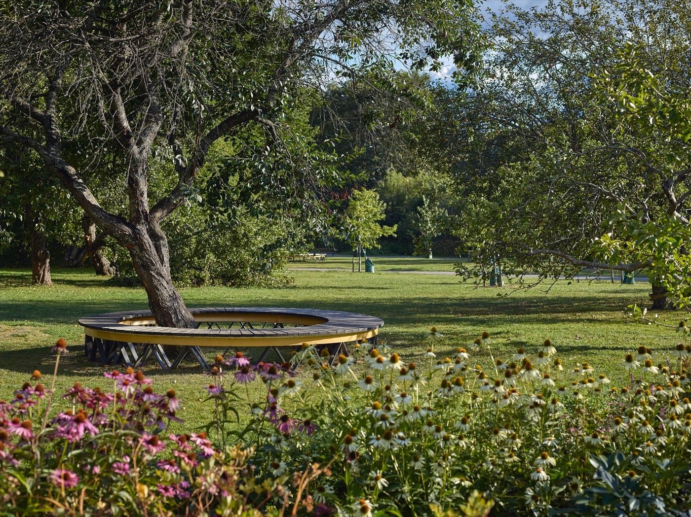 瑞典法尔斯塔斯特兰德公园丨尼瓦-10