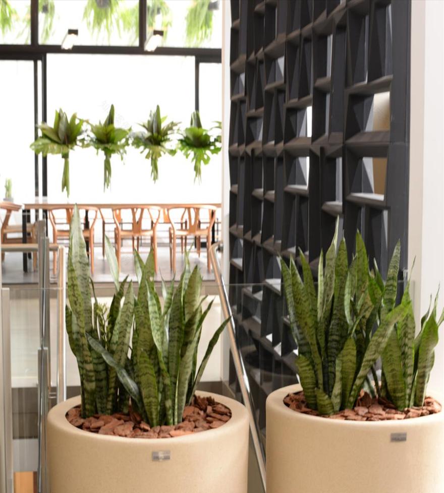 巴西 Mafra 美食空间 | Elaine Acabamentos 展示厅-5