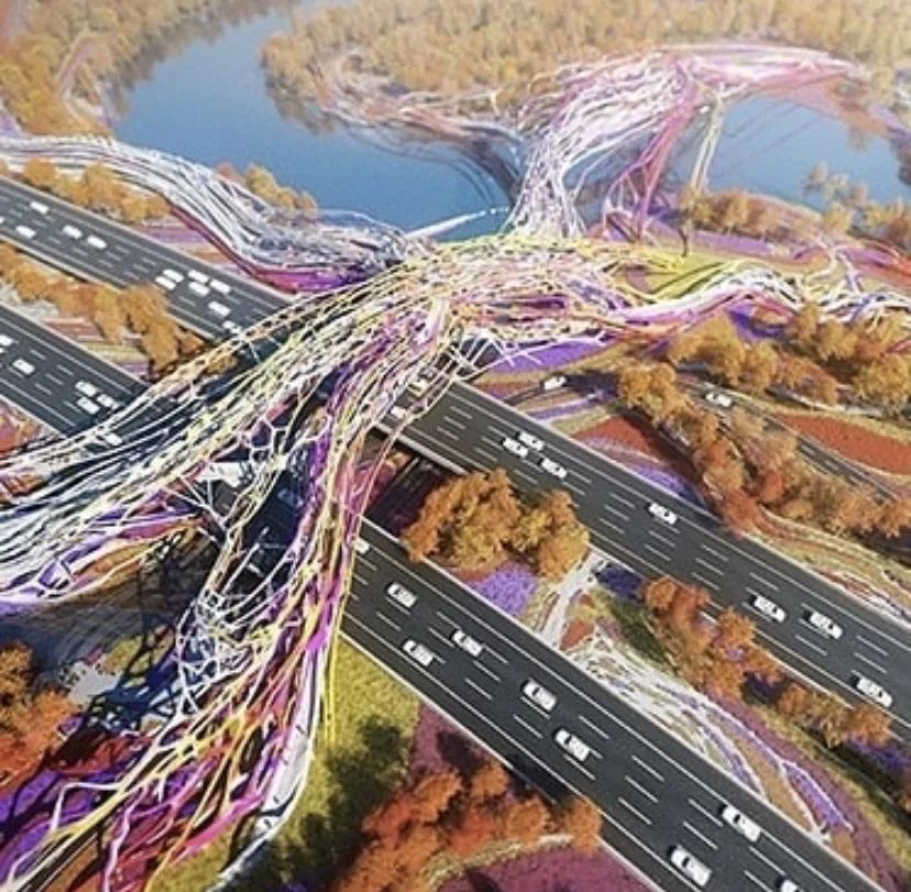 数字未来 2020 全球抗疫公益数字工作营全导师阵容揭晓！-467