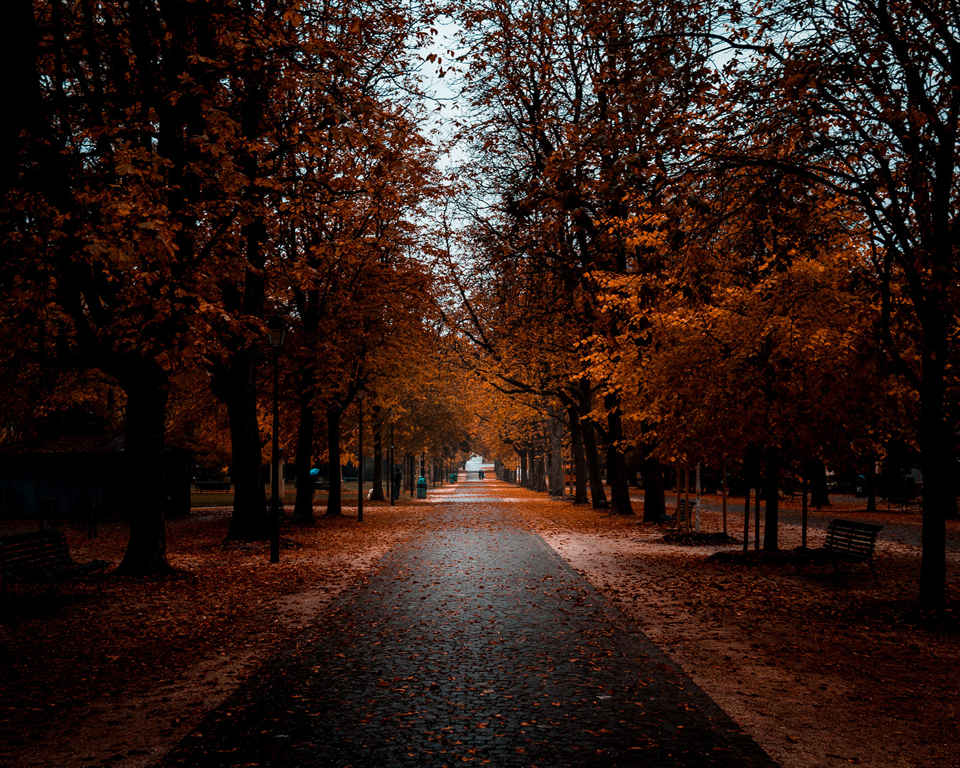 Geneva, Switzerland-2