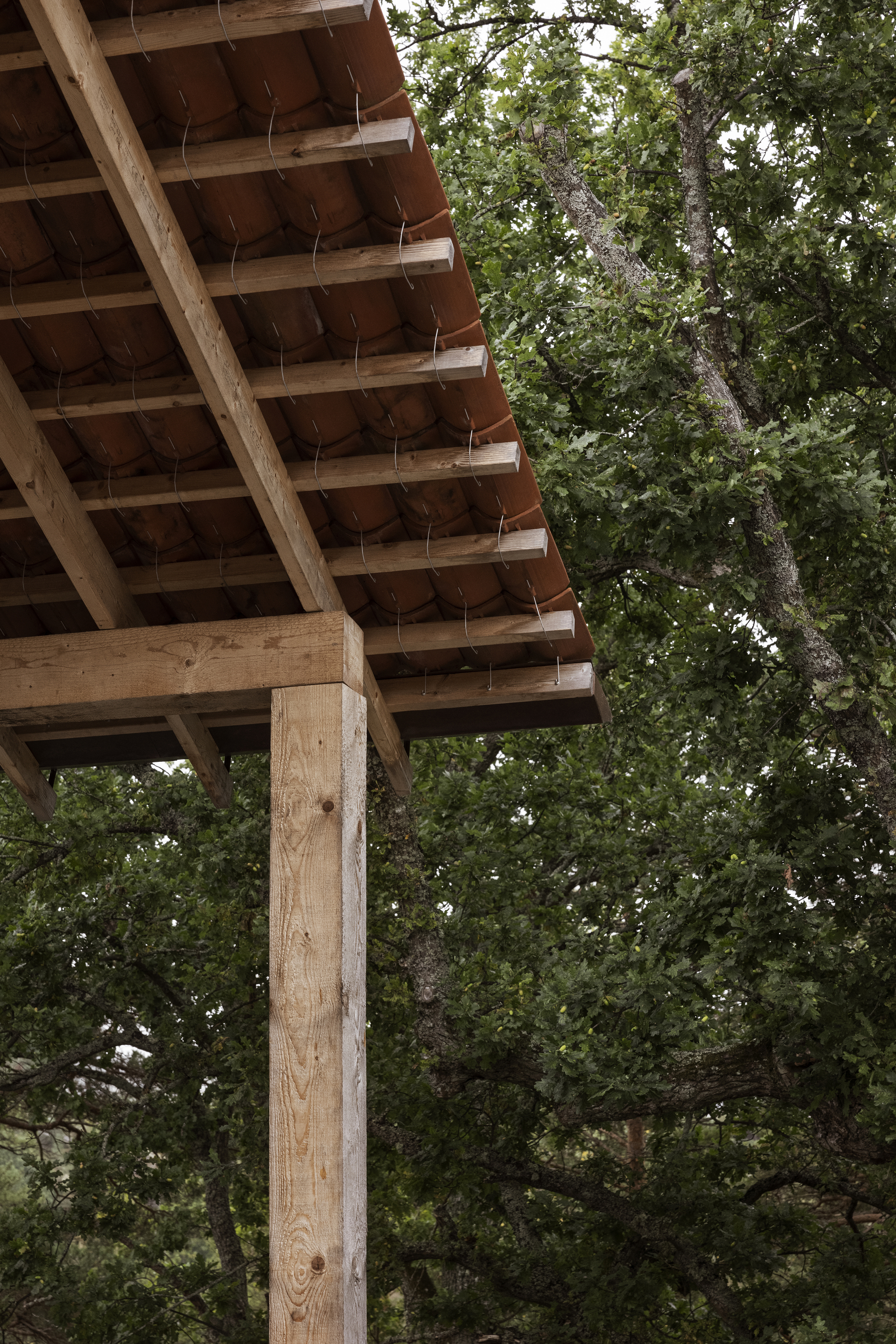 维拉 JJ丨瑞典斯德哥尔摩丨Metropolis Arkitekter-36