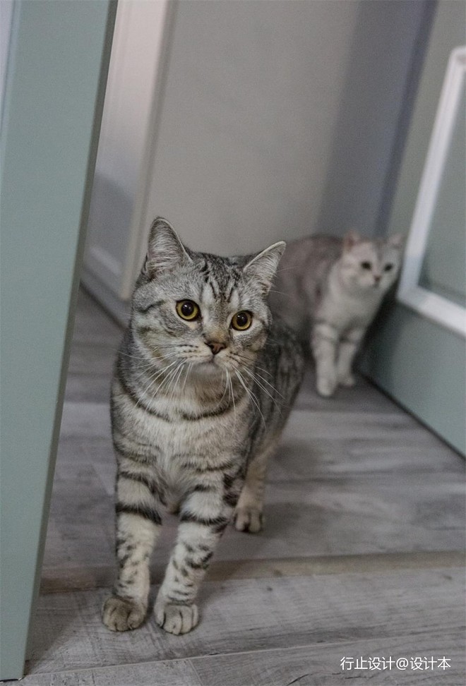 13万元二居60平米装修案例-11