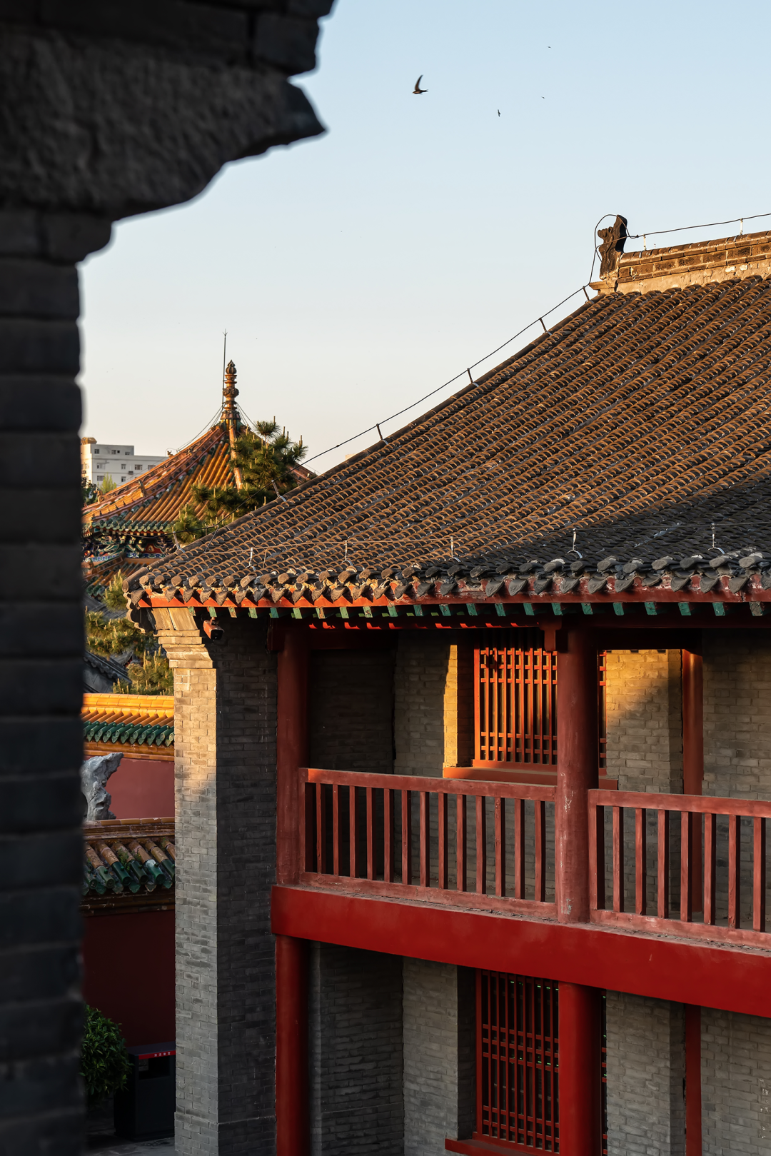 沈阳故宫文博书房丨中国沈阳丨一然设计（上海,深圳,沈阳,北京）-12