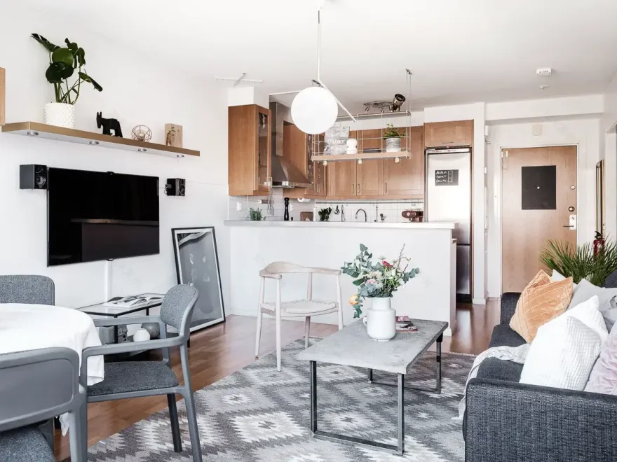 瑞典一室公寓的完美设计-4