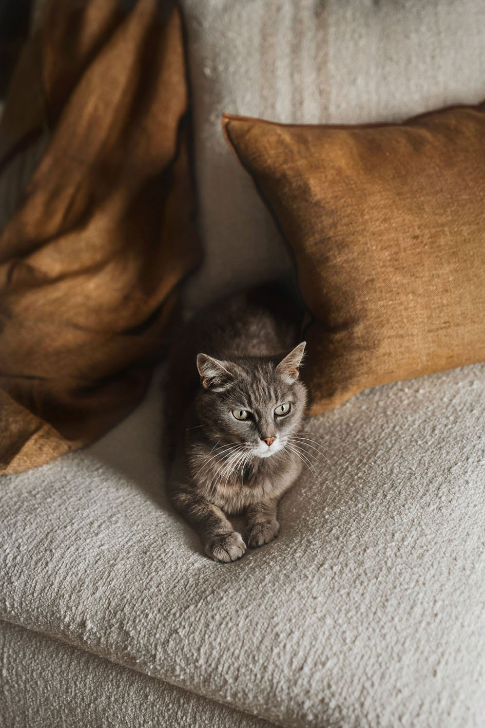 法国古老住宅的柔软自然设计魅力-4