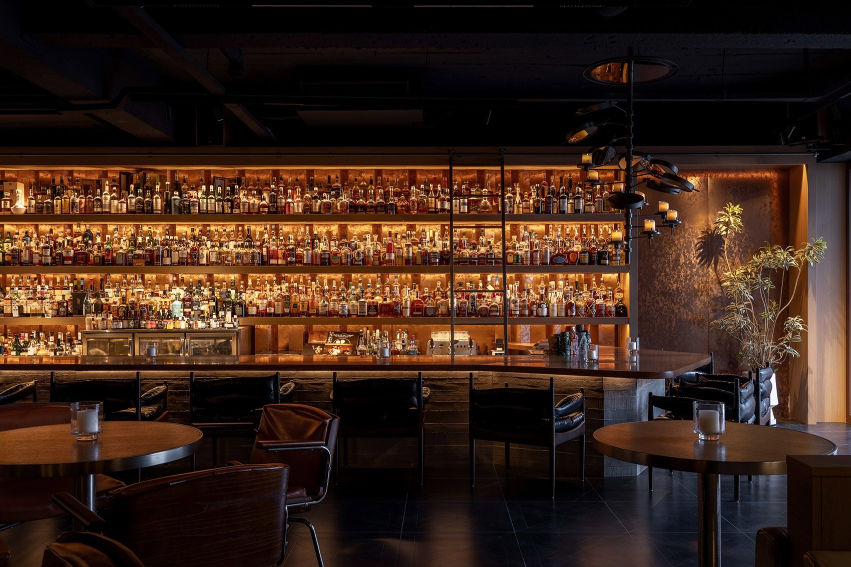 灵泊酒吧丨中国丹东丨白菜设计-25