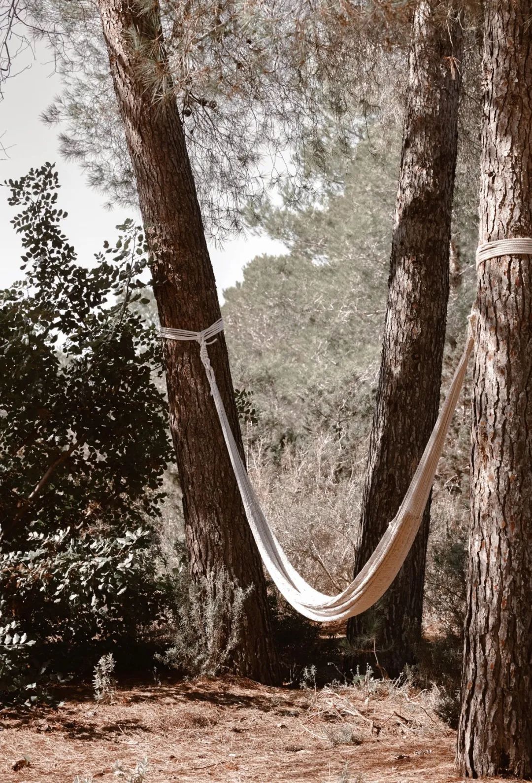 伊比沙岛自然之美 | La Granja Ibiza 农舍设计-15