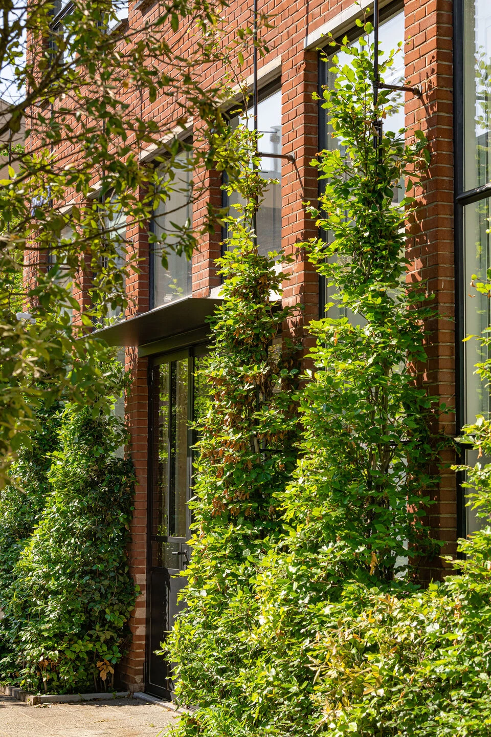 特维森港德尔瓦丨荷兰阿姆斯特丹-16