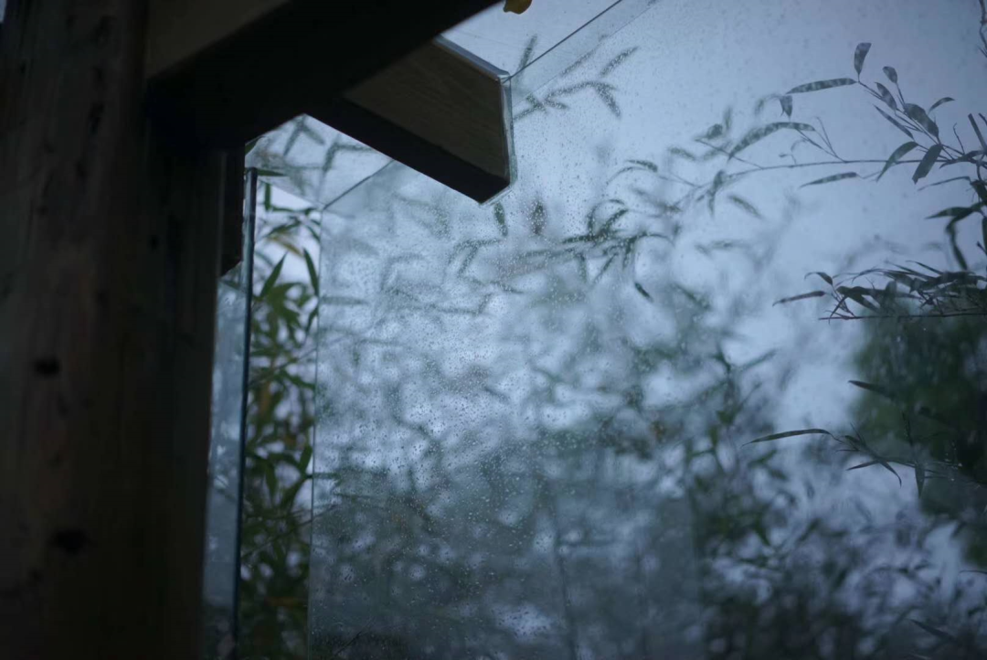 雨中探秘九龙湾山庄 | 茶空间与自然共生的宁静之美-17