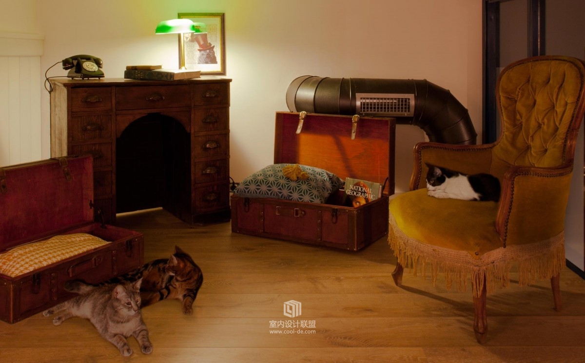 ROMEOW CAT BISTROT猫咪酒吧-8