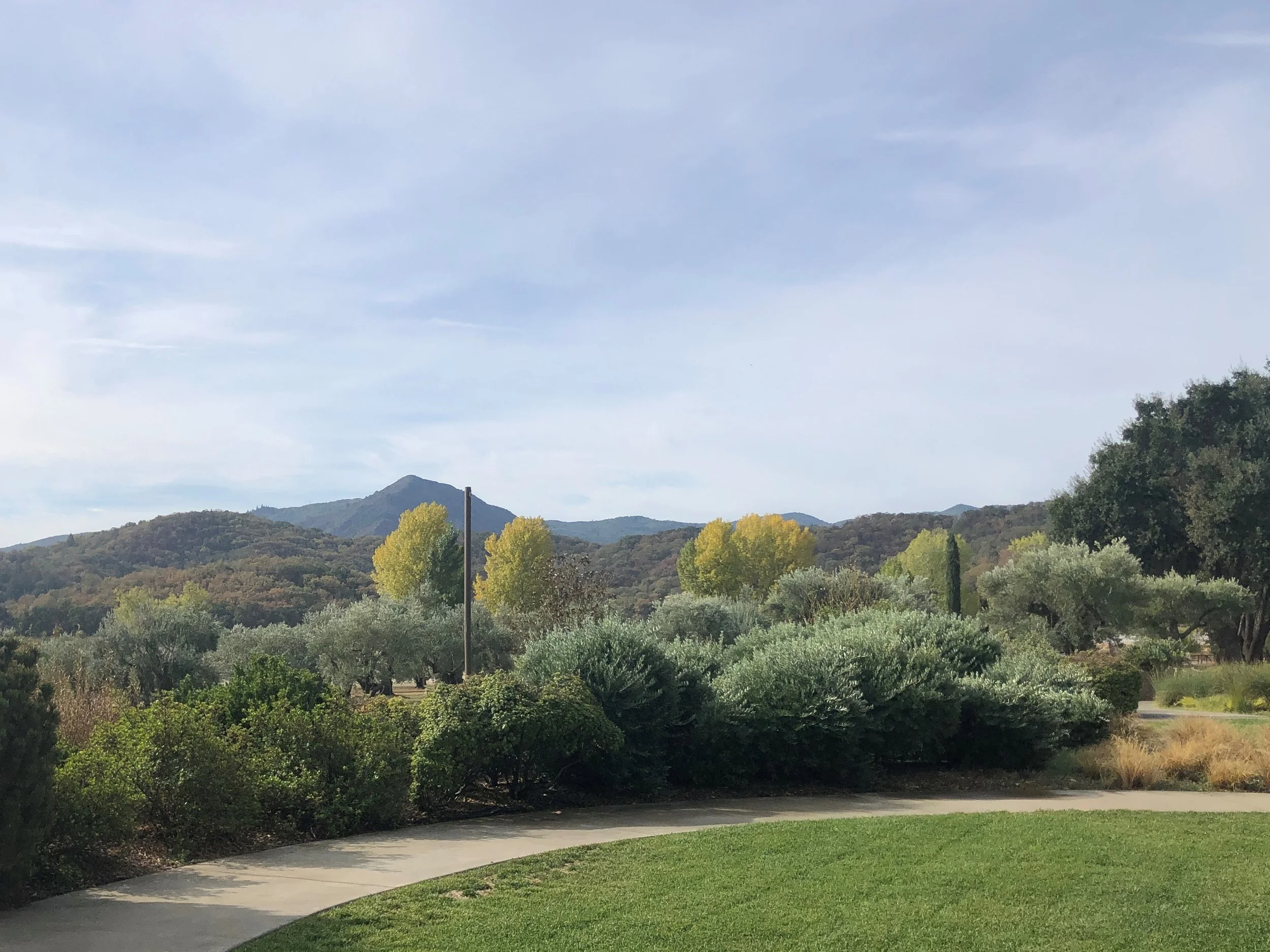 Mendocino Winery景观设计项目丨美国加利福尼亚丨Fletcher Studio-23