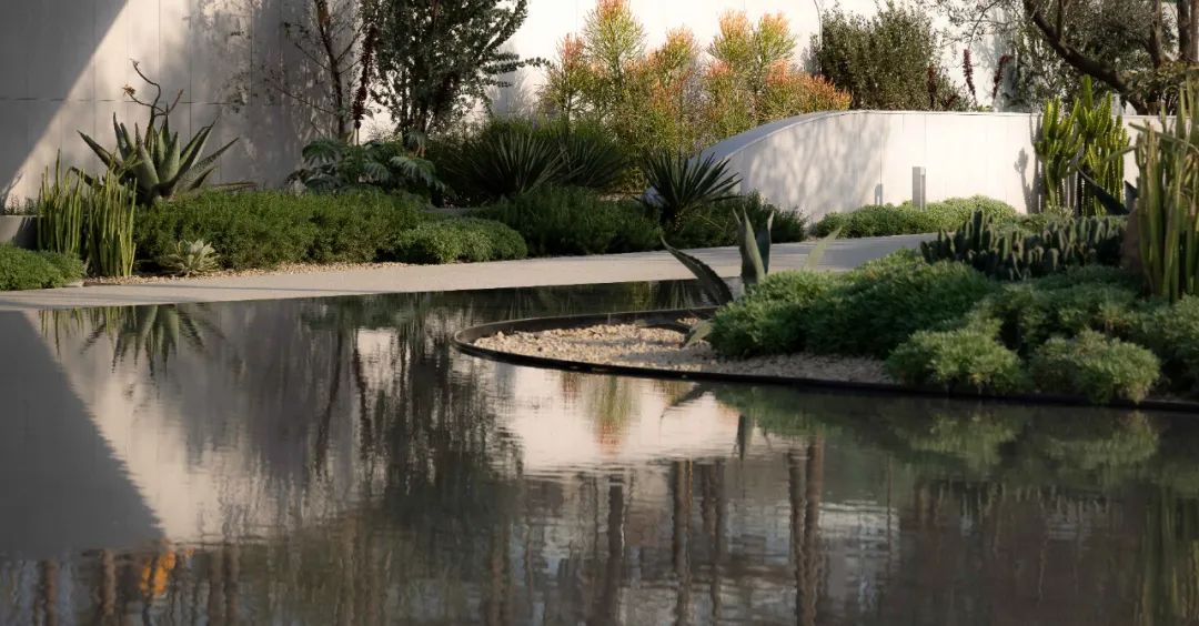 未来曲度 | 麓湖样板岛的新实验场-48