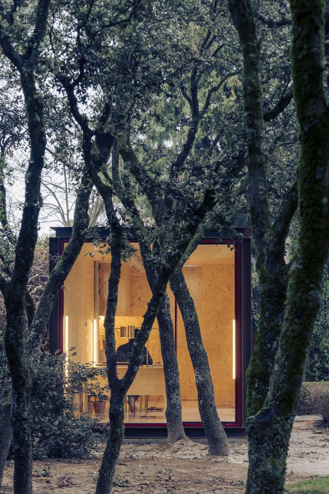 马德里定制花园办公室丨西班牙马德里丨delaVegaCanolasso-33