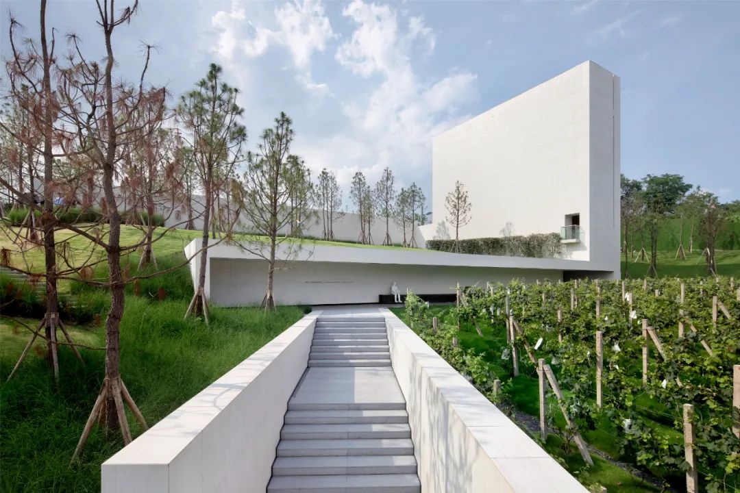 重庆万科璞园丨中国重庆丨WTD纬图设计-8