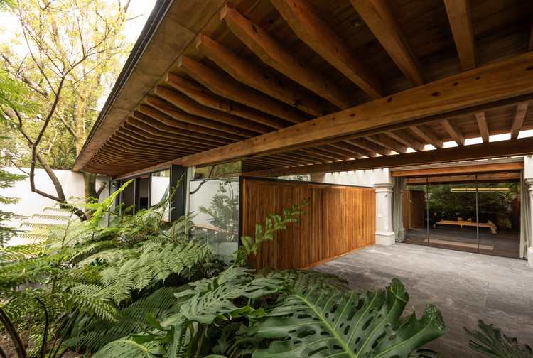 墨西哥城圣安吉尔住宅区扩建住宅-15