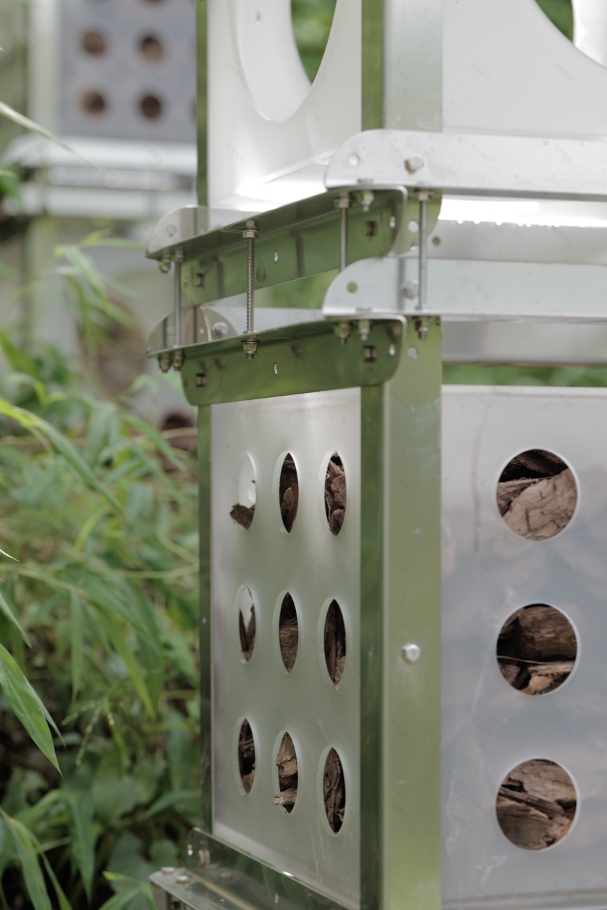 自然灯塔丨中国惠州丨JXY Studio-27