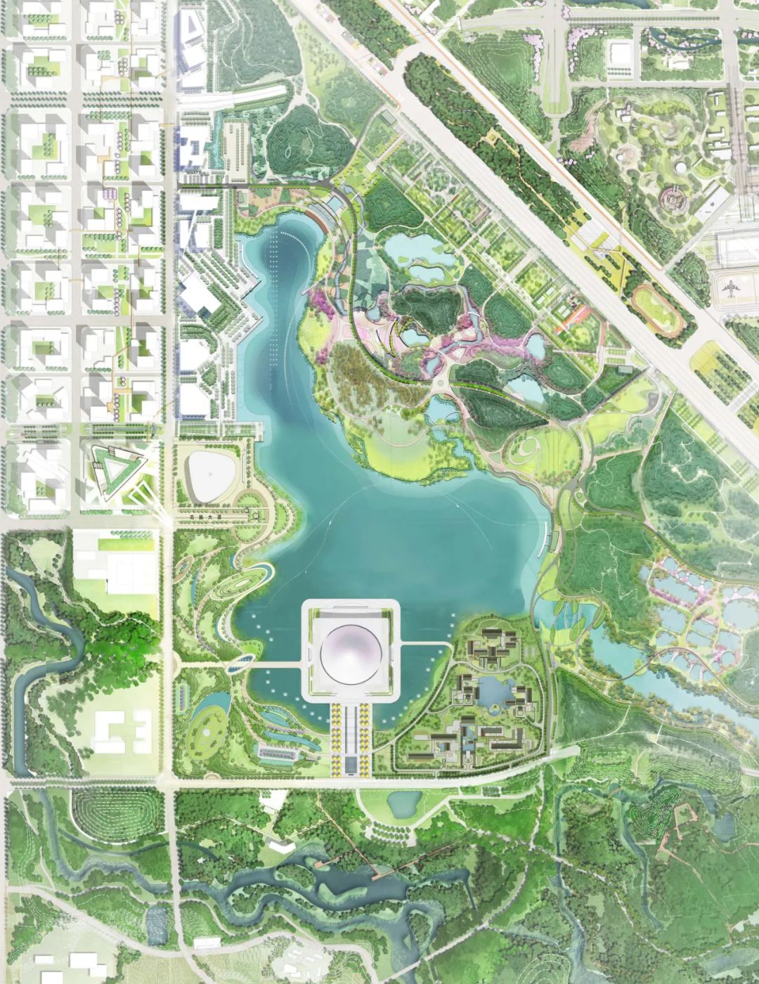 合肥滨湖国际科学交流中心丨中国合肥丨gmp·冯·格康,玛格及合伙人建筑师事务所与中国中元国际工程有限公司-32