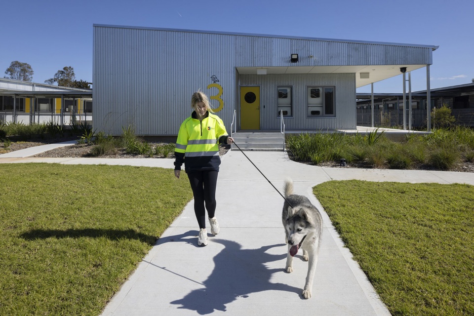 黑镇动物收容中心丨澳大利亚悉尼丨Sam Crawford Architects-26