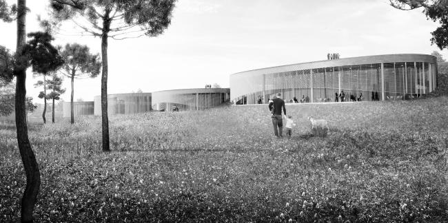 法国蒙彼利埃人体博物馆丨BIG建筑事务所-11