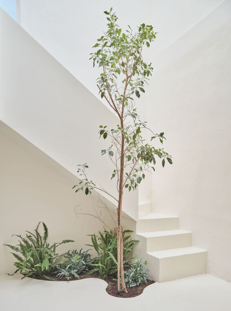 温馨魔法的儿科诊所·Pineda Monedero-12