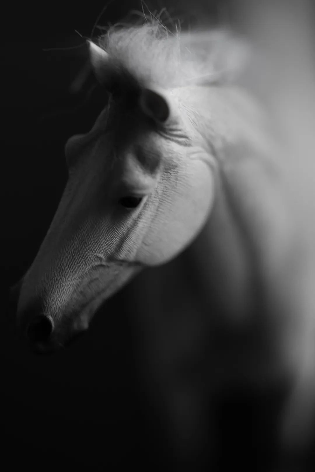 秋意浓·心之所向的海成云著样板间设计丨中国重庆丨庞一飞,袁毅,季巧-24