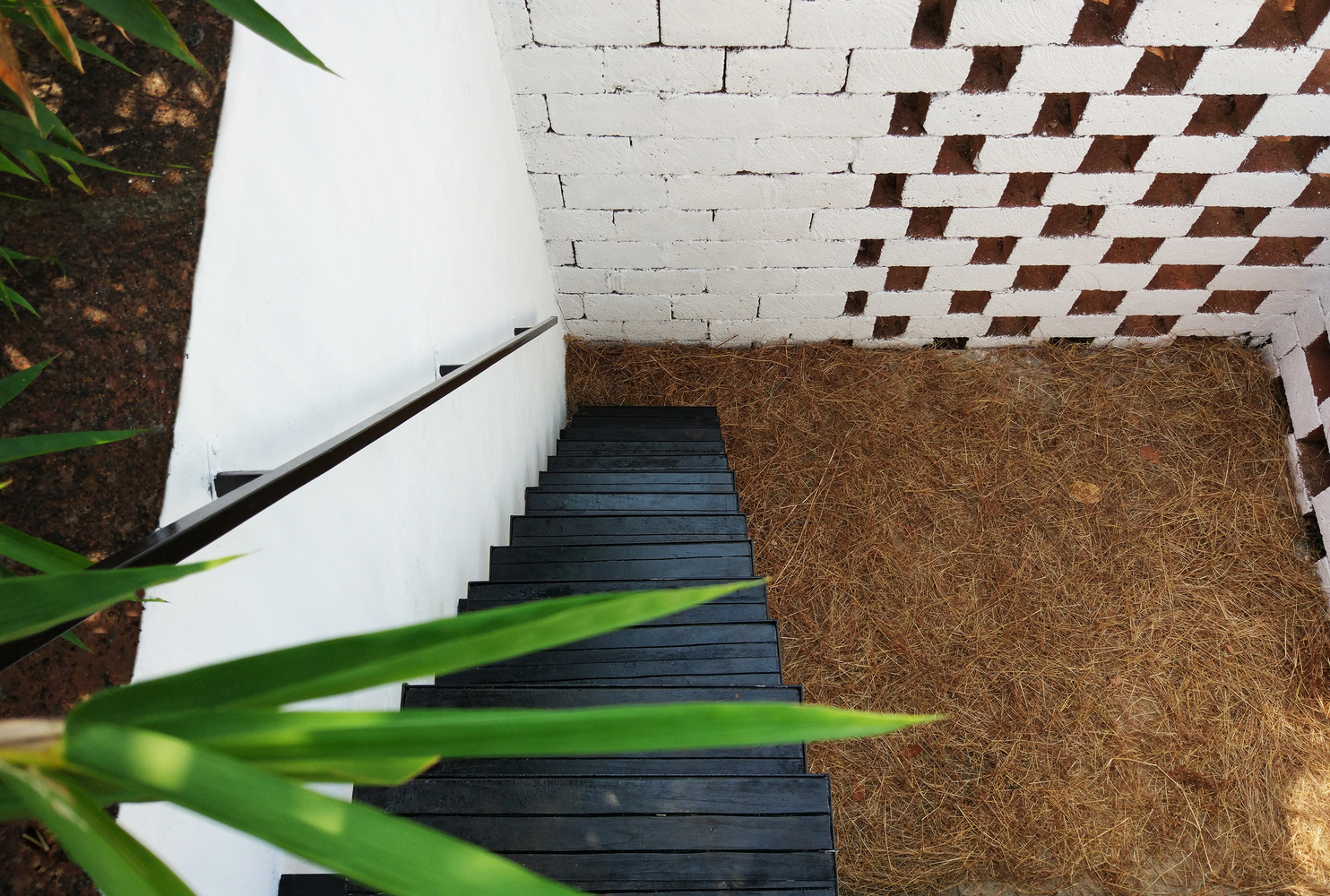 印度乡间绿意盎然的退休之家-26