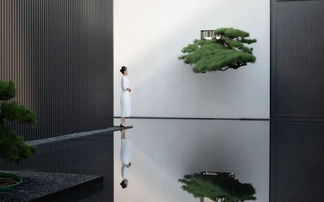 金沙操盘 | 成功经验：从河南火到全国各地（实地考察+主题演讲）-79