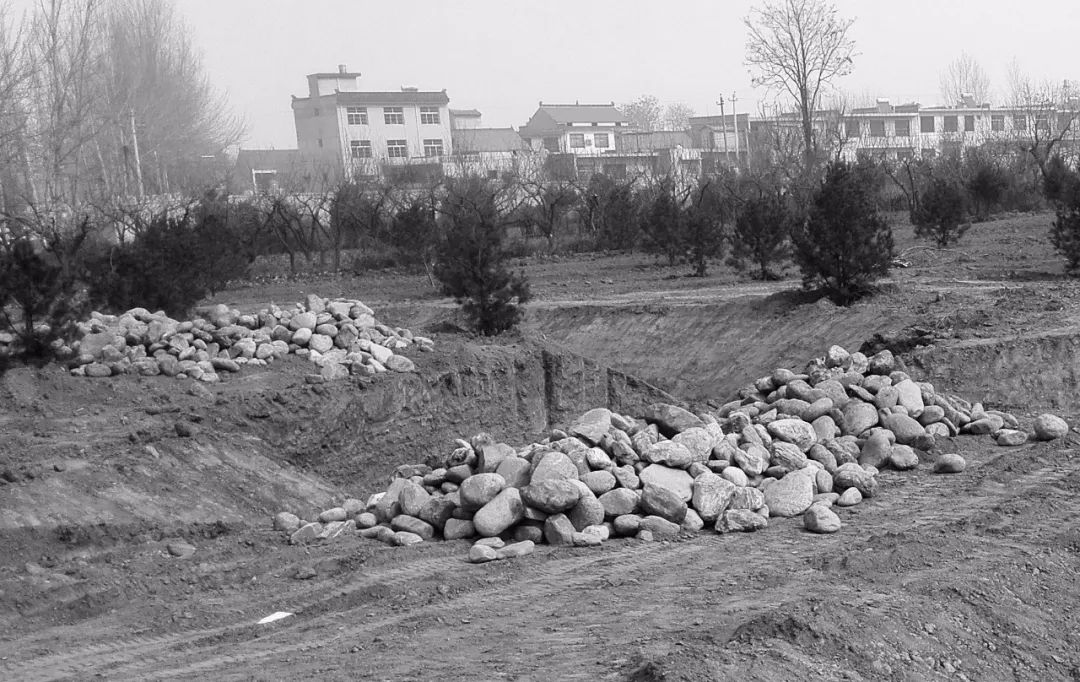 秦岭国家植物园田峪河湿地公园-77