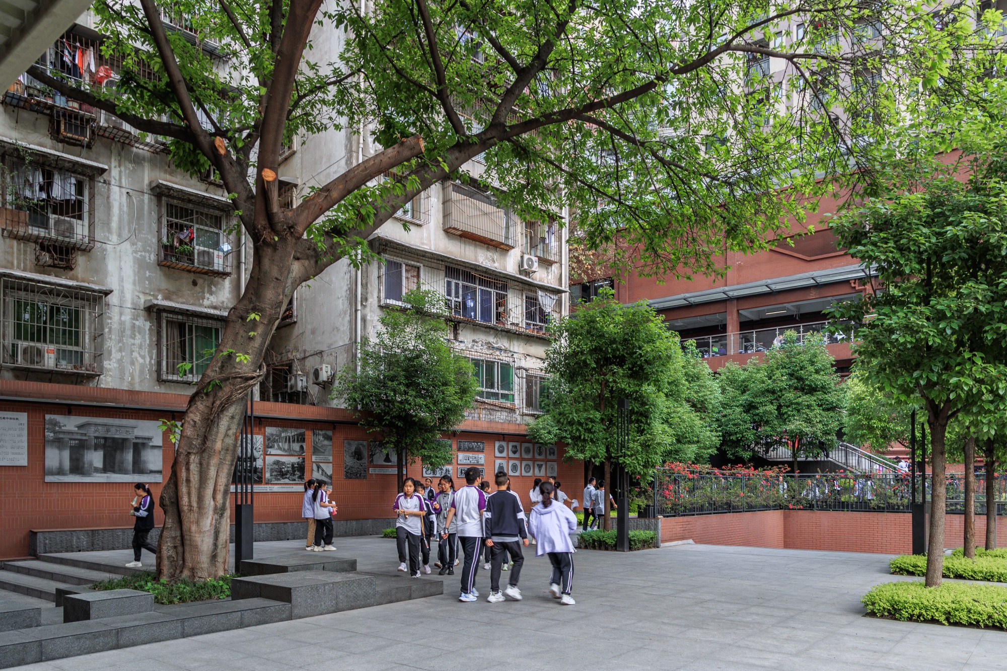 巴蜀中学张家花园校区景观改造丨中国重庆丨AF.d  奥凡设计（景观）,重庆市设计院城市建筑一院（建筑）-3