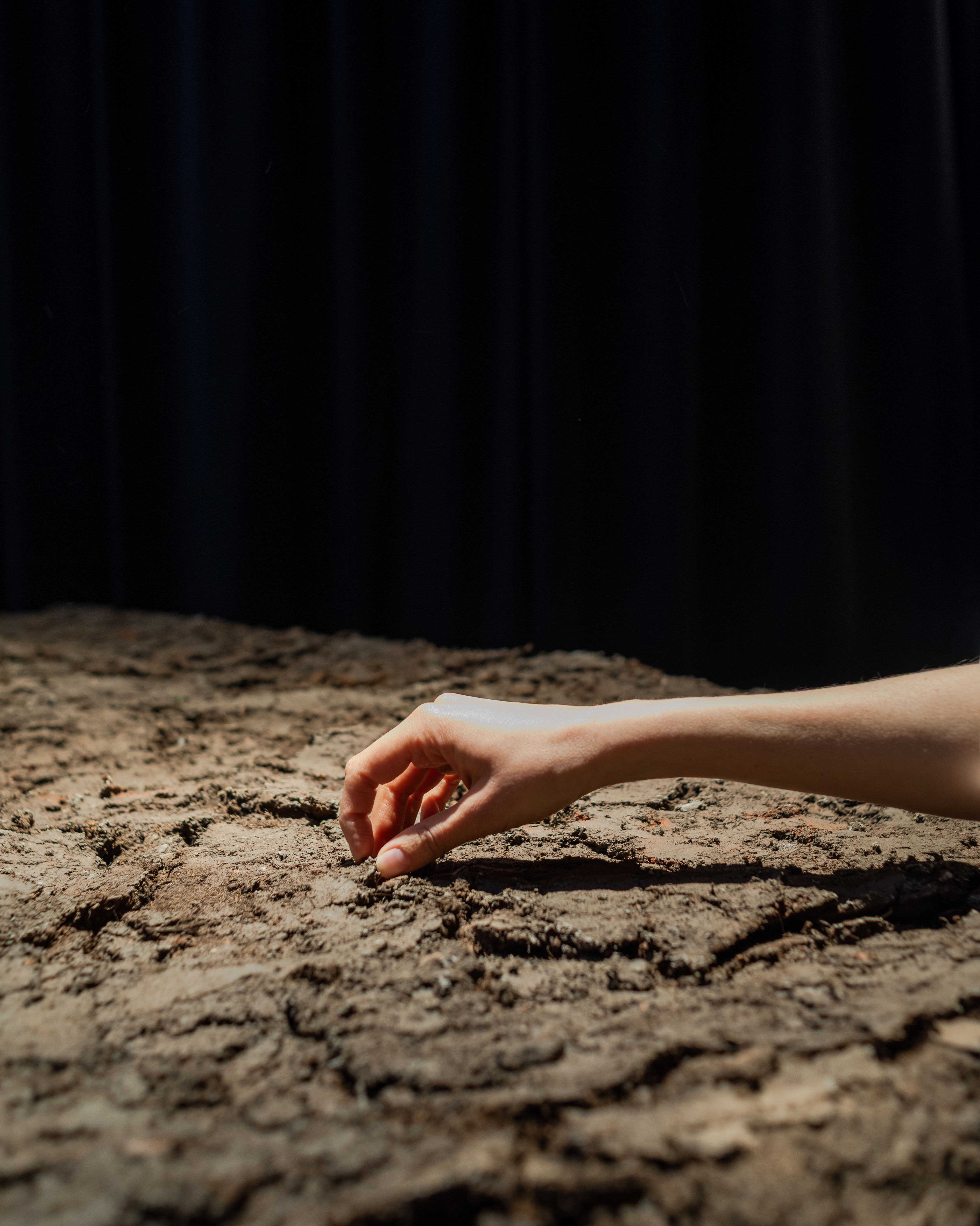 第 19 届威尼斯国际建筑双年展:墨西哥馆,探索古老农业系统的生态潜力-20