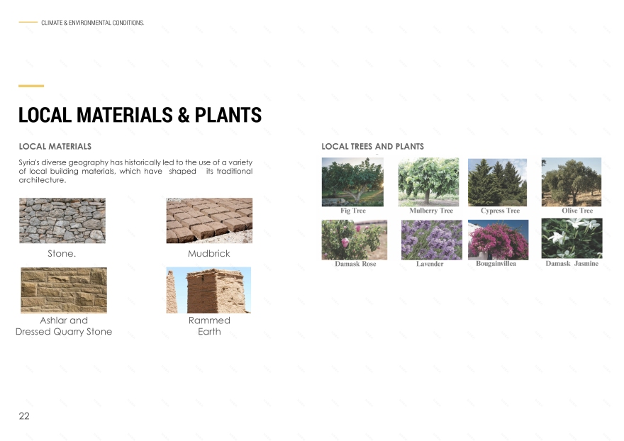 WESAL · 大马士革公共图书馆丨叙利亚大马士革丨SAE Architecture School Workshop团队-32