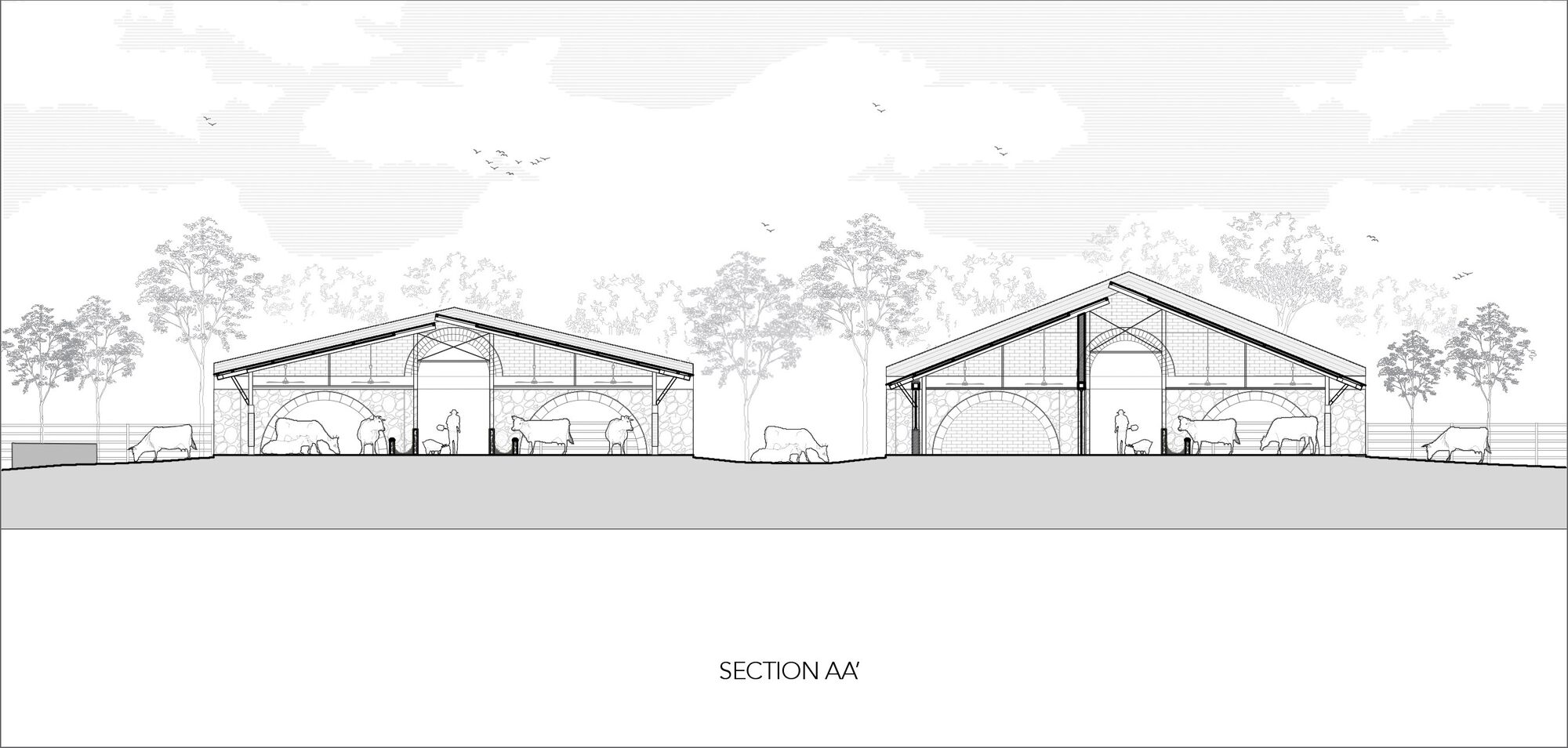 高哈尔畜牧业丨印度丨Compartment S4-19
