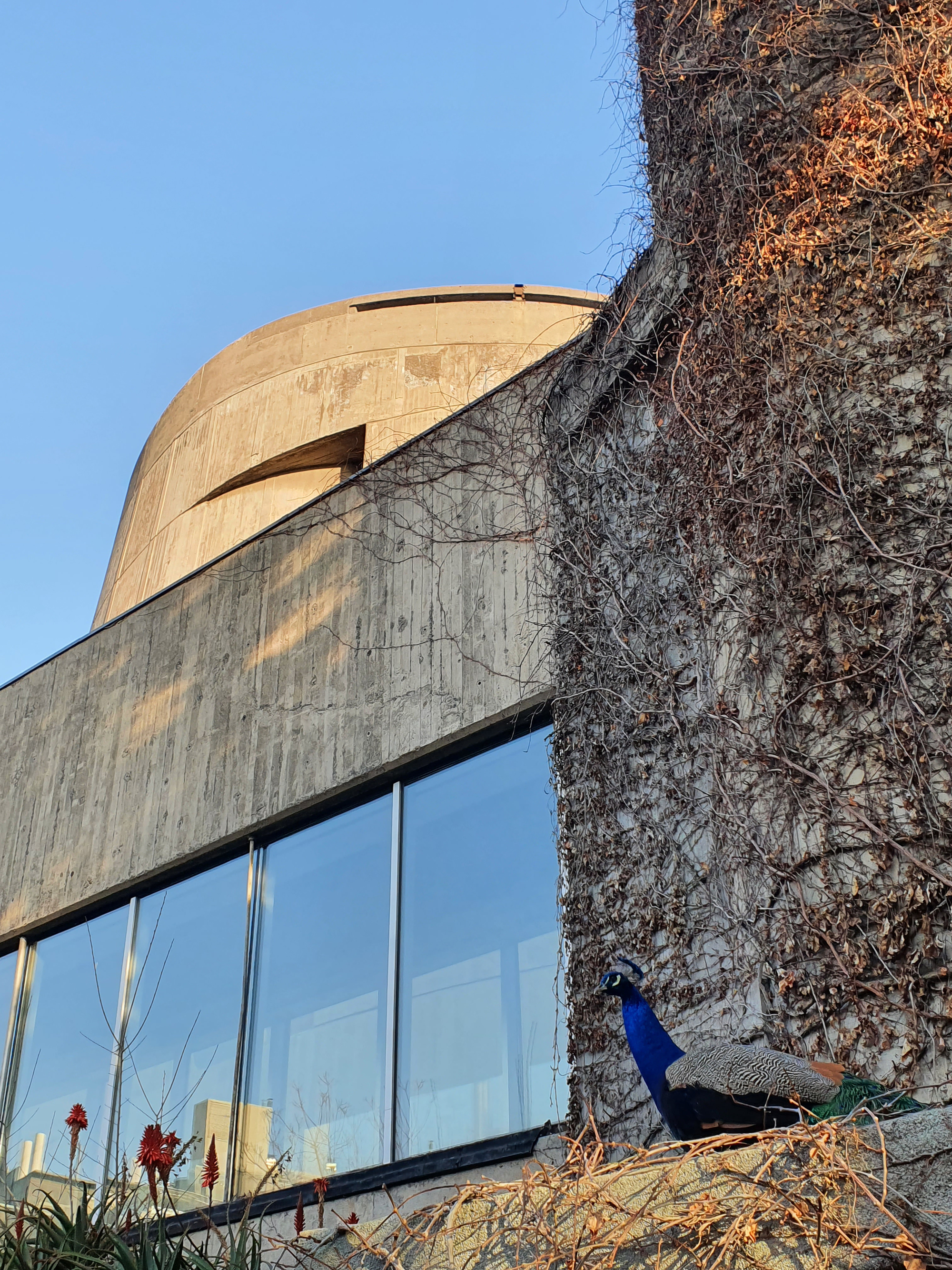 ECLAC 大楼丨智利圣地亚哥丨Emilio Duhart-30