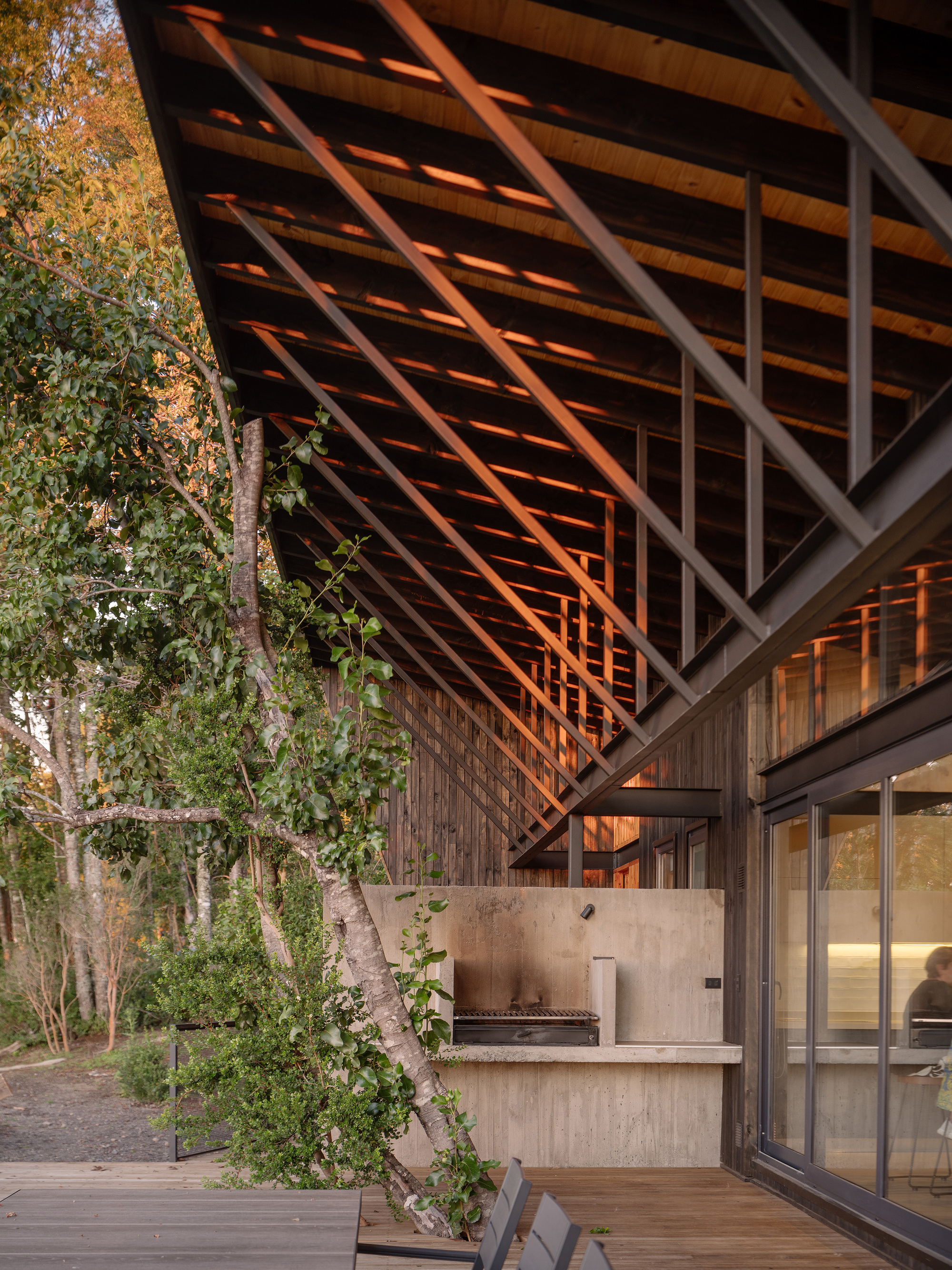 丨智利丨Lucas Maino Fernández-31