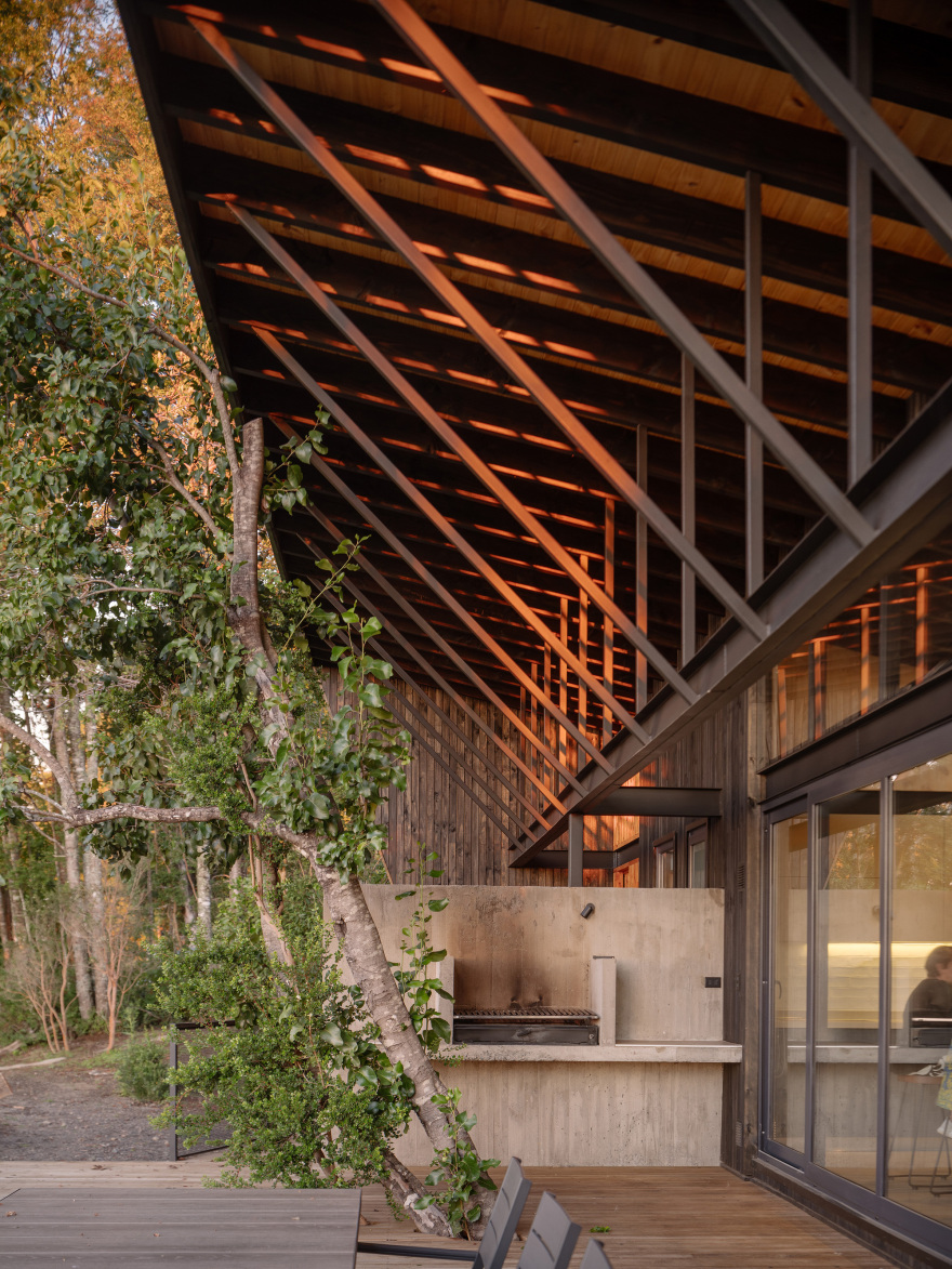 丨智利丨Lucas Maino Fernández-31