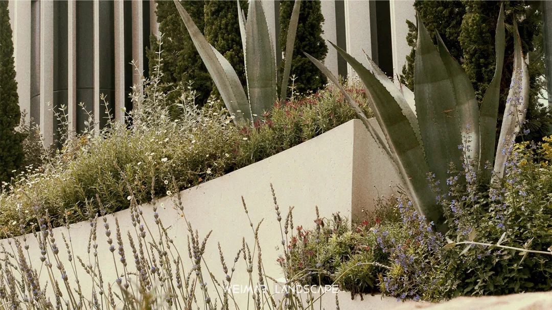 天琴澄音|万华麓湖C16样板岛-73