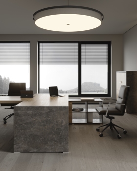 Office. Solid 独立办公室