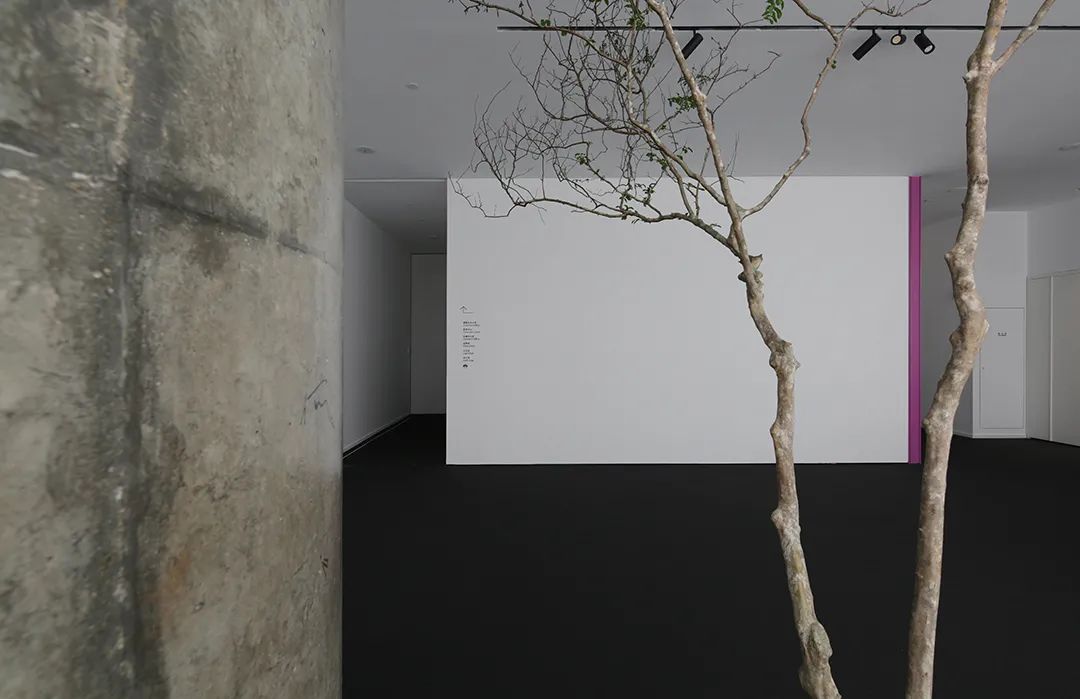 砼馆 TONG CONCEPT丨中国广州丨谭立予设计师工作室-77