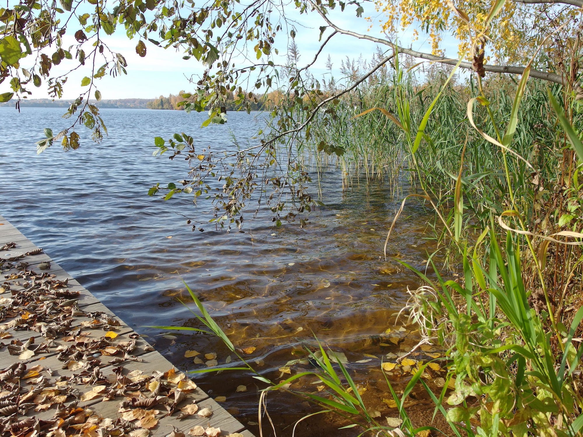 莫斯科北部童话森林湖景-11