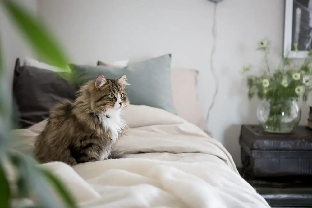 深色调木质大宅，演绎同色系搭配魅力-28