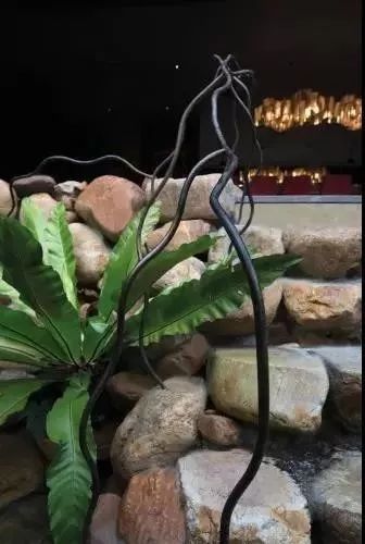 为了孩子,他们专门在城市上方建了一所会呼吸的房子!-59