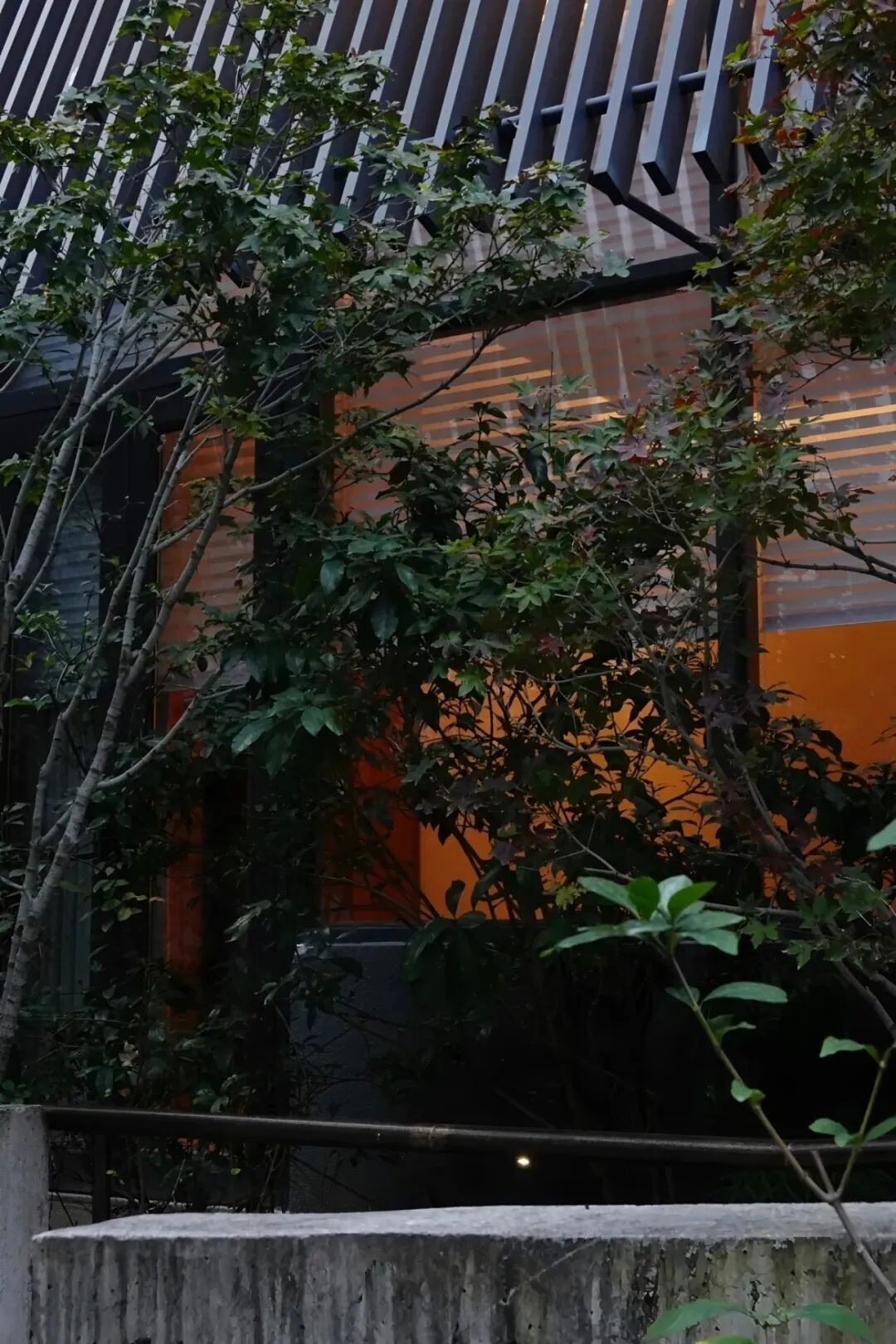 茅台鉴藏馆丨中国深圳丨BLOOMDESIGN绽放设计-40