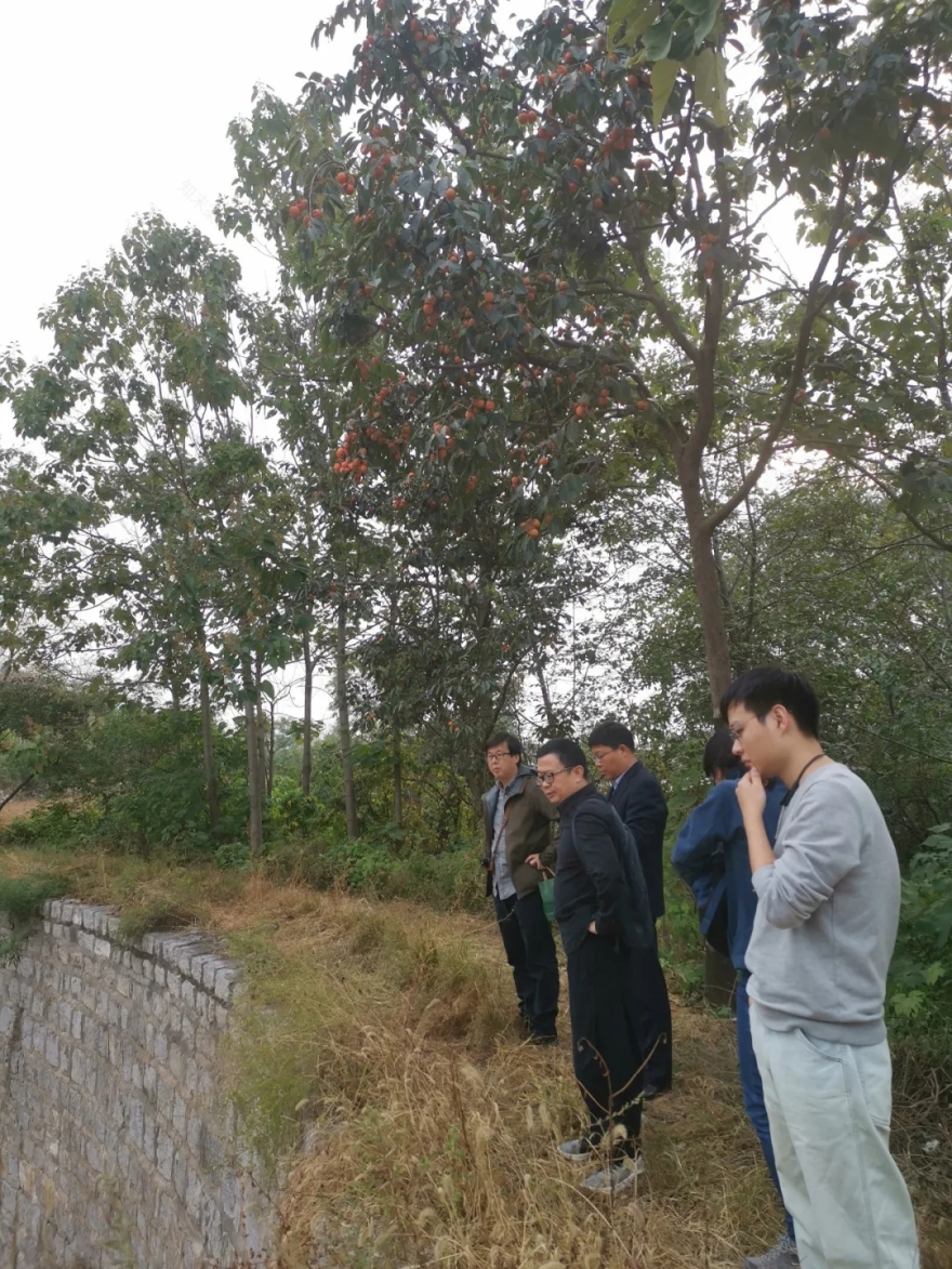 大南坡村景观整治设计丨中国河南丨张唐景观设计事务所-20