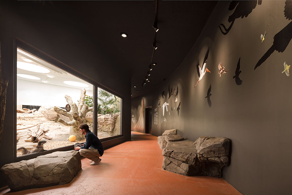 德累斯顿动物园猩猩馆丨德国德累斯顿丨未明确提及室内设计方,合作有Rehwaldt景观建筑师事务所-19