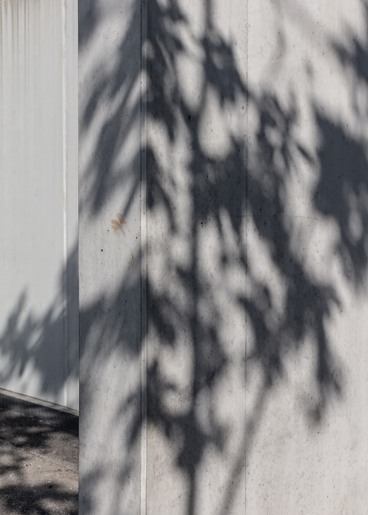 7000 Oaks 与城市生态共生的艺术设计-32