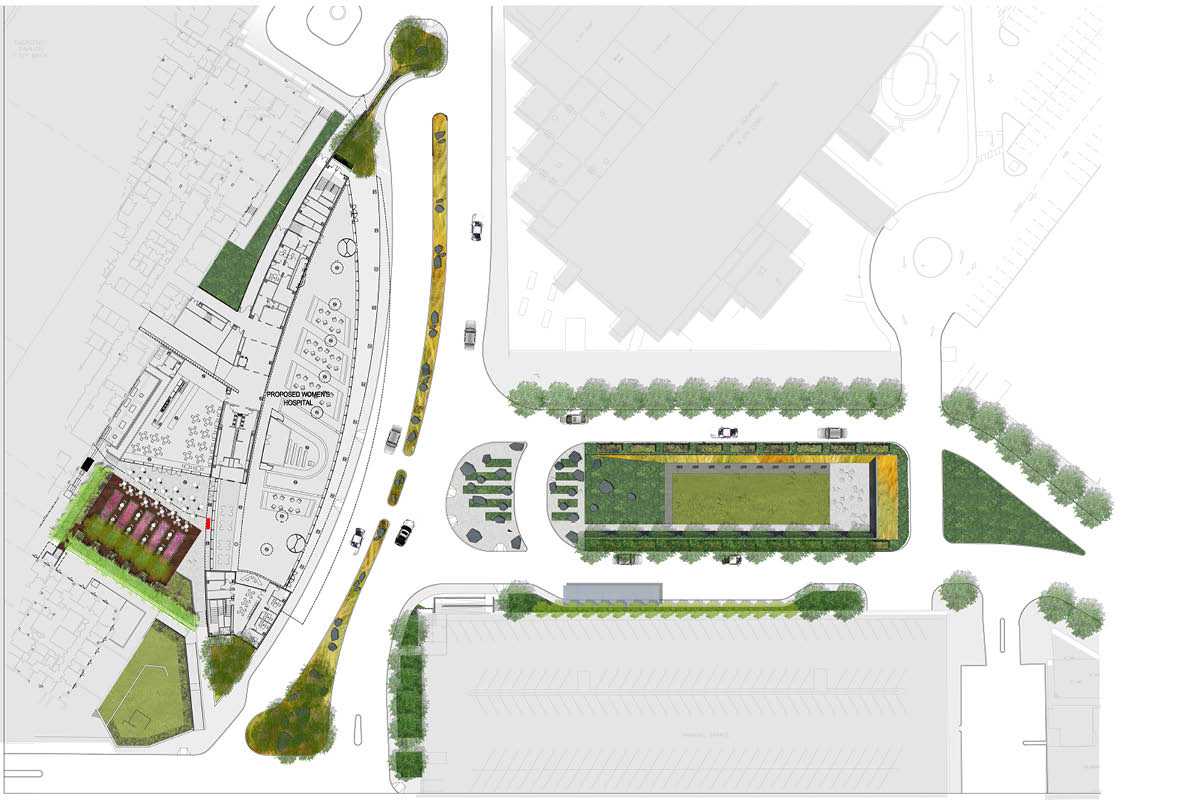 纽约 LIJ 妇女医院景观设计展现医疗保健之美-1