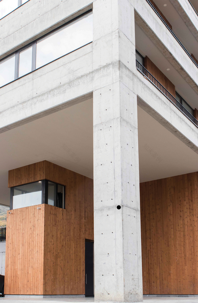 格鲁吉亚 Tiflis 的"Bagebi"住宅楼丨DM Studio,Wunderwerk-25